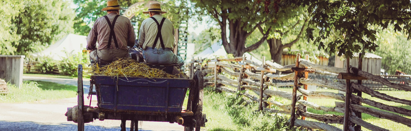 Local Farm Produce